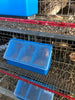 Blue 3 hole quail feeder