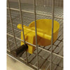 Yellow Chicken Watering Cup with inline 3/8" barb