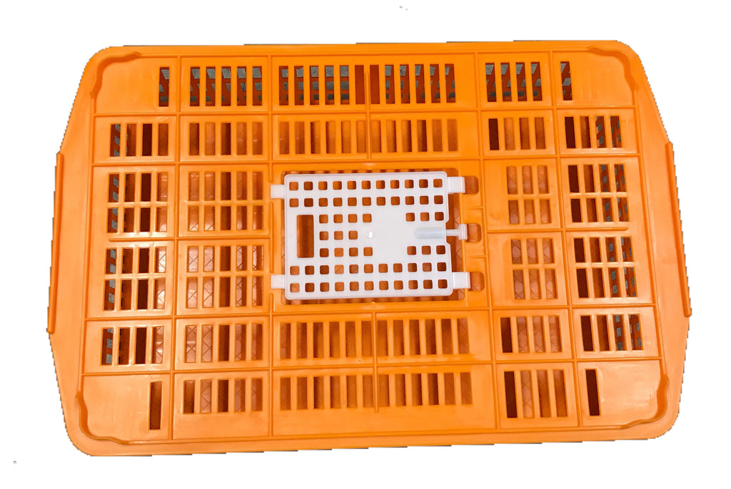 Small Transport Cage for Quail, pigeons and other small birds